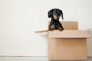 inmobiliario